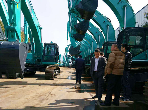 快来看，快来看，这里有一群绿精灵